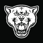 I Cougars